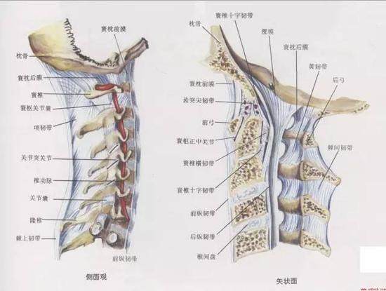 睡沙发对身体真的有伤害吗
