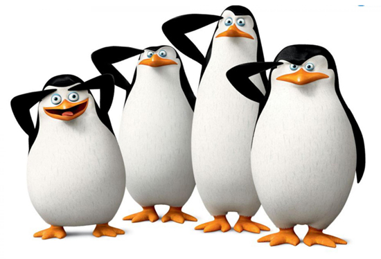 送马达加斯加企鹅1只8月29-30日庆西城天道全国最高旗舰店倒计时4个月