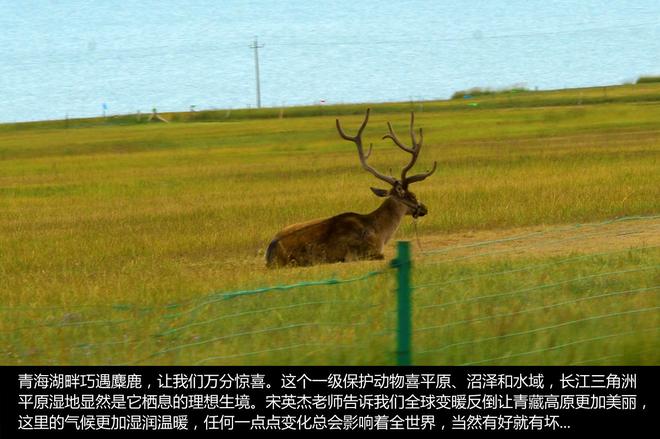 发现不一样的大西北 奔驰SUV征服之旅