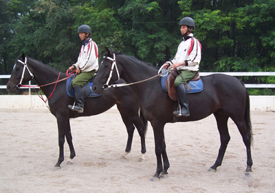 百万宝马命悬一线人马同心绝处逢生创奇迹