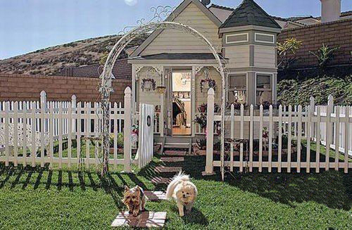 不如狗系列 猜猜"神犬小七"的豪窝什么样|神犬小七|狗窝|豪华狗窝