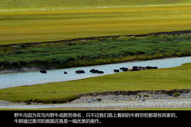 发现不一样的大西北 奔驰SUV征服之旅