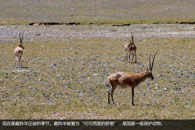 QQ截图20150906112940