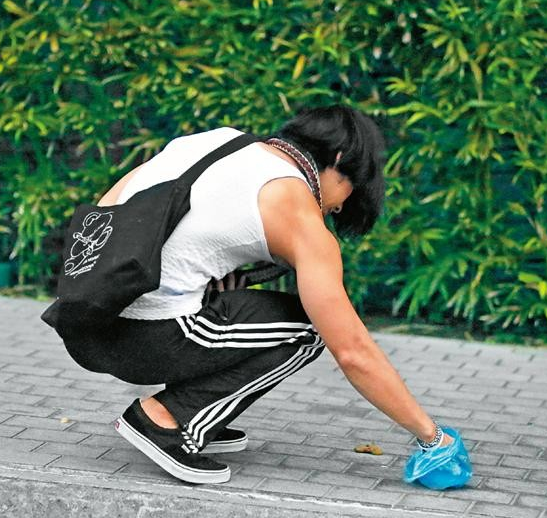 吴建豪懒理婚变传闻出门遛狗 路边清粪便