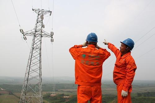 淅川县电业局开展输电线路巡查保安全