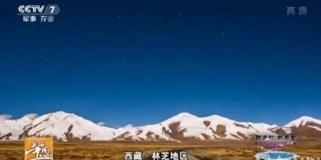央视回应节目中盗播网友作品