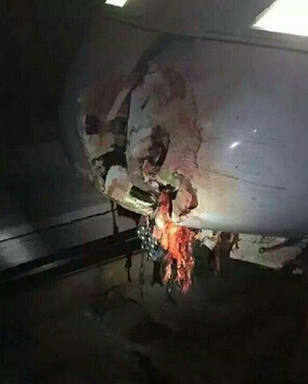 湖南耒阳发生动车撞人事故 死者疑为自杀