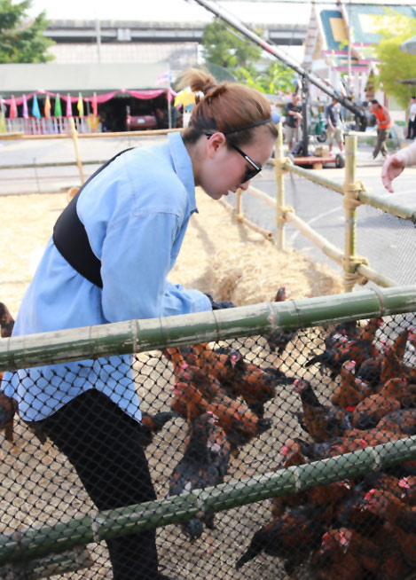 《极速前进》泰国之旅 吴昕独自大胆捉鸡