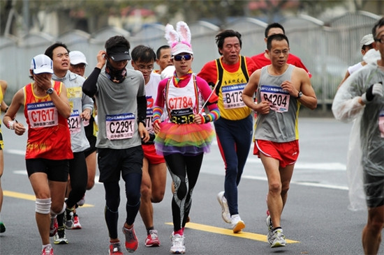 北马330兔子大揭秘。