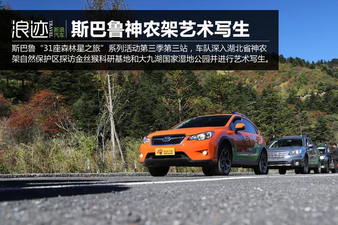 斯巴鲁“31座森林星之旅”神农架艺术写生
