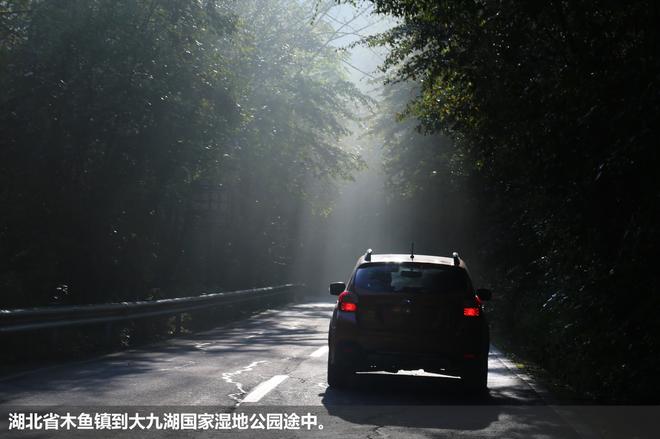 斯巴鲁“31座森林星之旅”神农架艺术写生