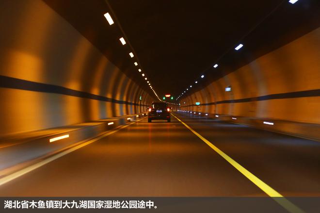 斯巴鲁“31座森林星之旅”神农架艺术写生