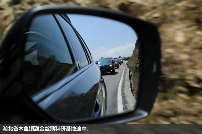 斯巴鲁“31座森林星之旅”神农架艺术写生