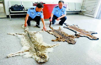 男子街头卖雪豹皮经"四审"最终被判5年