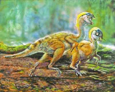 迷你豫龙复原图。