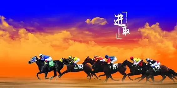 中国赛马未来路在何方