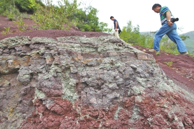 研究人员回访复齿河南龙化石发掘现场。