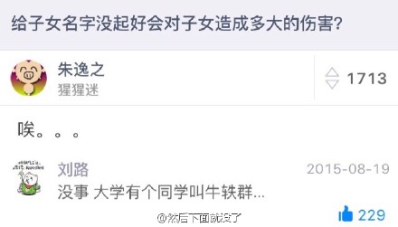 牛一群和猪一只