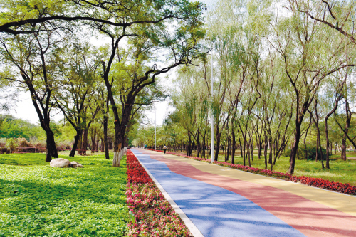 铁西森林公园改造年底覆盖免费wifi图