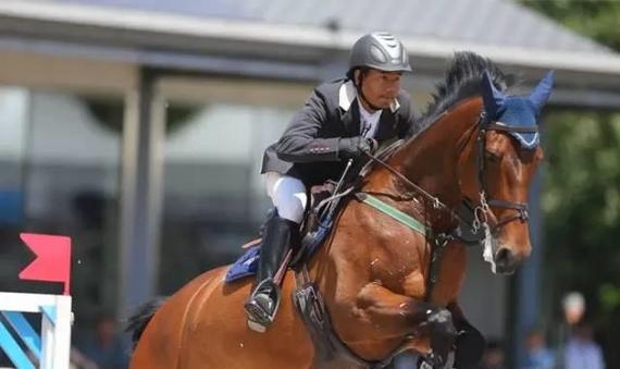 马嘴有白沫说明人和马沟通的好