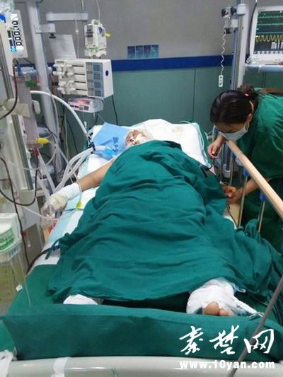 郧西农妇被马蜂蜇成重伤已花20多万盼救助