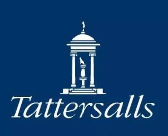 　　（▲选自Tattersalls）