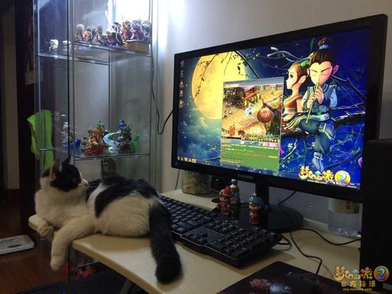 图5：高冷男神很淡定