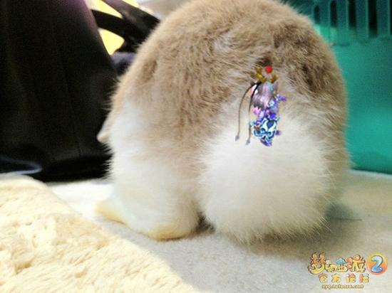 图7：真兔版落英缤纷