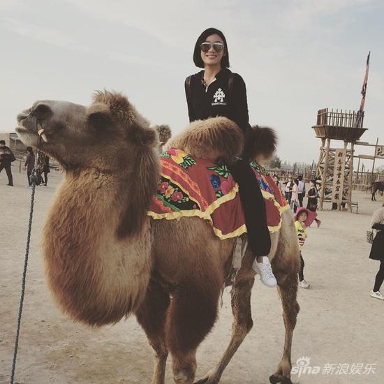 袁姗姗骑"高冷脸"骆驼卖萌乐翻网友