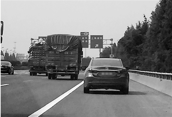 在硬路肩肆无忌惮行驶的车辆