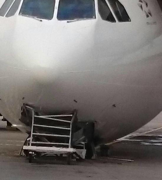 网友Andre Giam供图