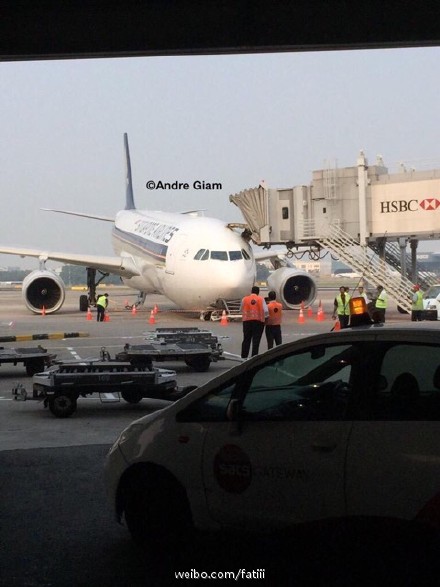 网友Andre Giam供图