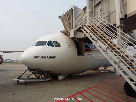 网友Andre Giam供图