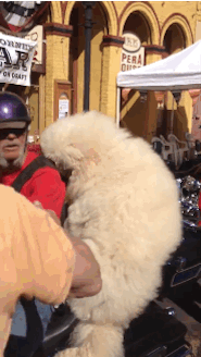 大爷也很潮好么