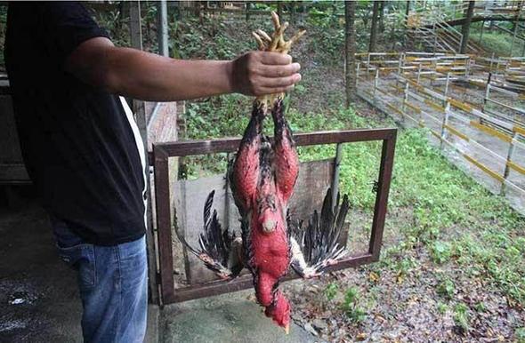 c03fd54abb761780232736