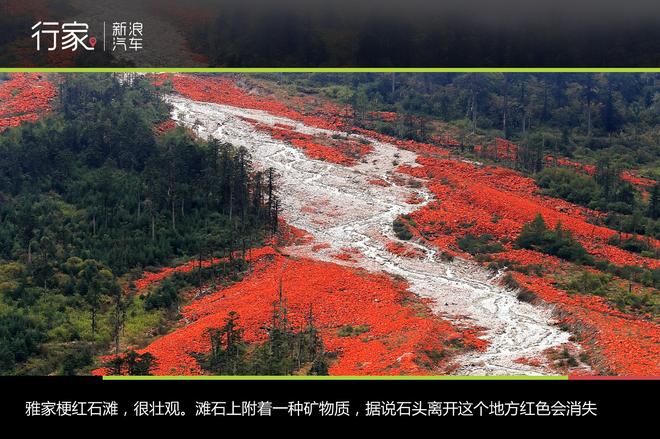 观雪山赏红石 川西北十一自驾游