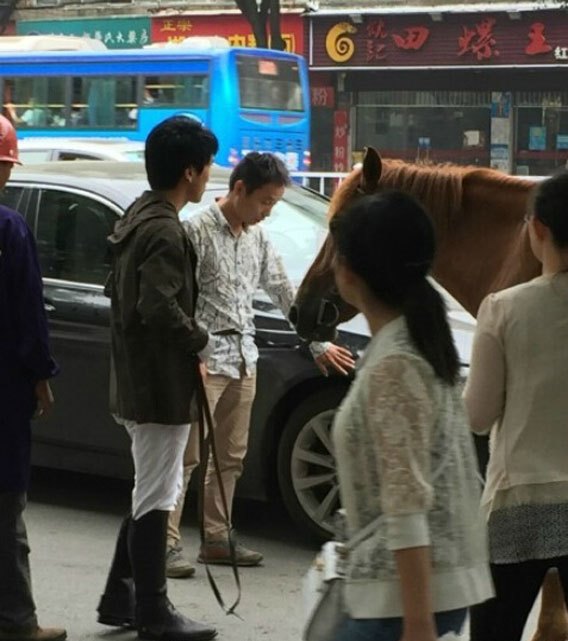 南昌街头马踢坏宝马车
