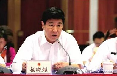 杨晓超。资料图