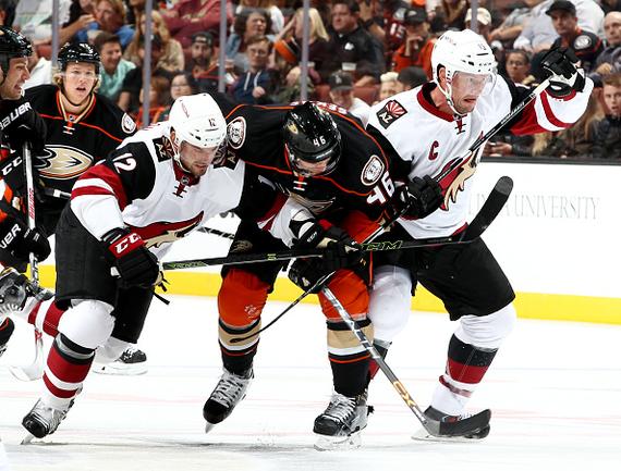 亚利桑那野狼(白)获胜