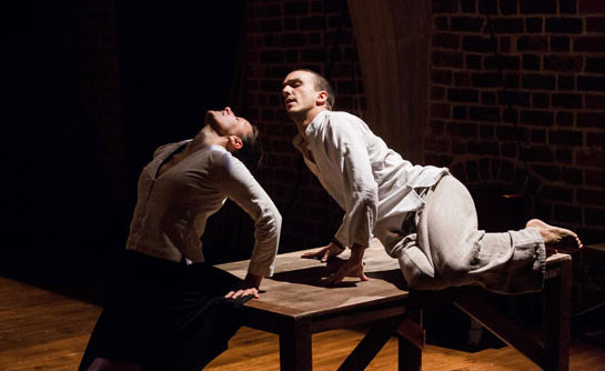 《樱桃园的肖像》