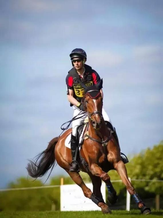 国内近七成马术俱乐部面临亏损