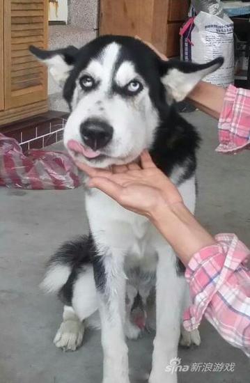 为什么是一副意犹未尽的样子啊！