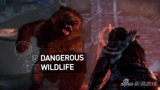 劳拉要面对各种野外猛兽的威胁