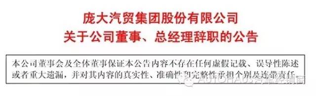 庞大集团董事、总经理李金勇辞职 