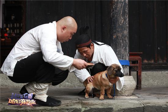 宋小宝程野接“药引”