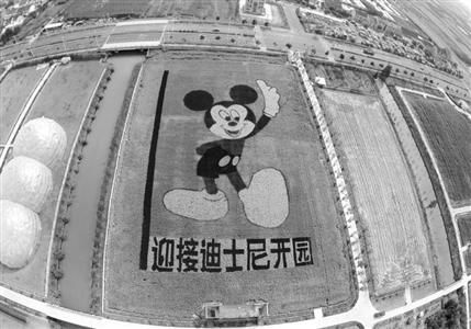 迪士尼周边稻田 “绘”巨型“米奇”