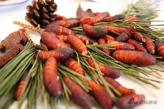 还是太年轻了，说是能壮阳，早就灭绝了！