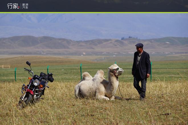 行家：重走丝绸之路 大美新疆自驾之旅