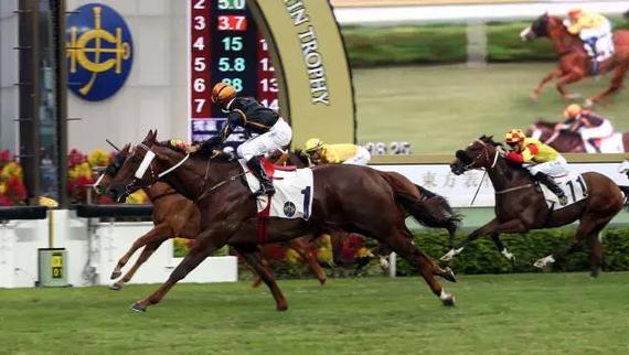 　田泰安策骑“步步友”冲刺