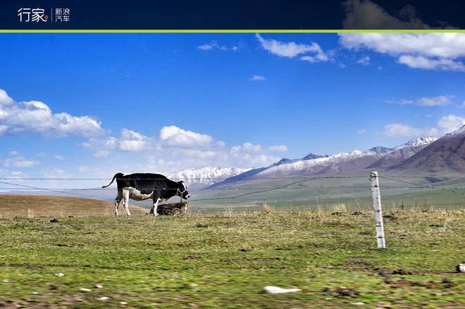 行家：重走丝绸之路 大美新疆自驾之旅